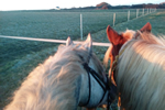 Contact et Plans, Trouver la Ferme Equestre à Pouldreuzic dans le Pays Bigouden