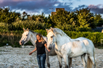 Ferme Equestre du Pays Bigouden en Bretagne