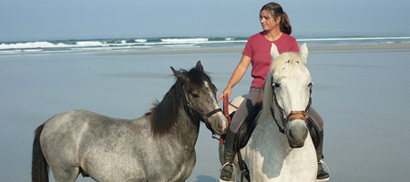 Elevage de chevaux Camargue, Randonne Plage