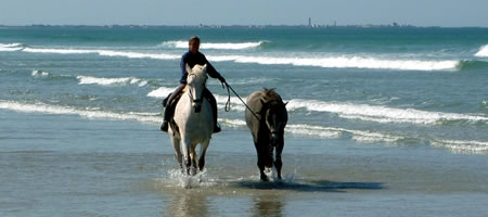 balades chevaux en baie d'Audierne