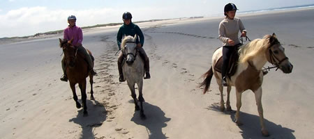 3 chevaux sur la plage en Baie d'Audierne