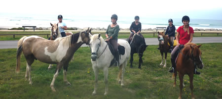 Randonne Groupe de chevaux Ferme Equestre