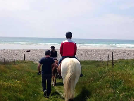 balades chevaux par les sentiers de randonne