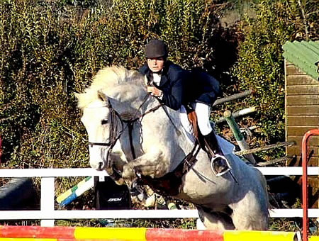 championnat concours chevaux