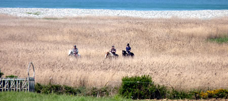 Randonne Cheval Nature en Baie d'Audierne, au coeur du pays bigouden