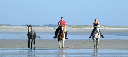 Gardiennage chevaux pays bigouden, finistre 29