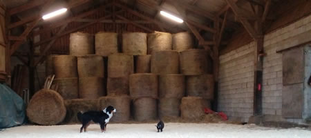 stockage du foin au hangard pension chevaux