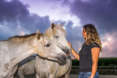 Soins, convalescence des chevaux, bien-être du cheval